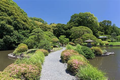 新宿御苑 レビュー: 都会のオアシスとその意外な一面