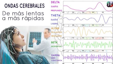  Weightless Un Viaje Sonoro de Ondas Cerebrales y Texturas Etéreas